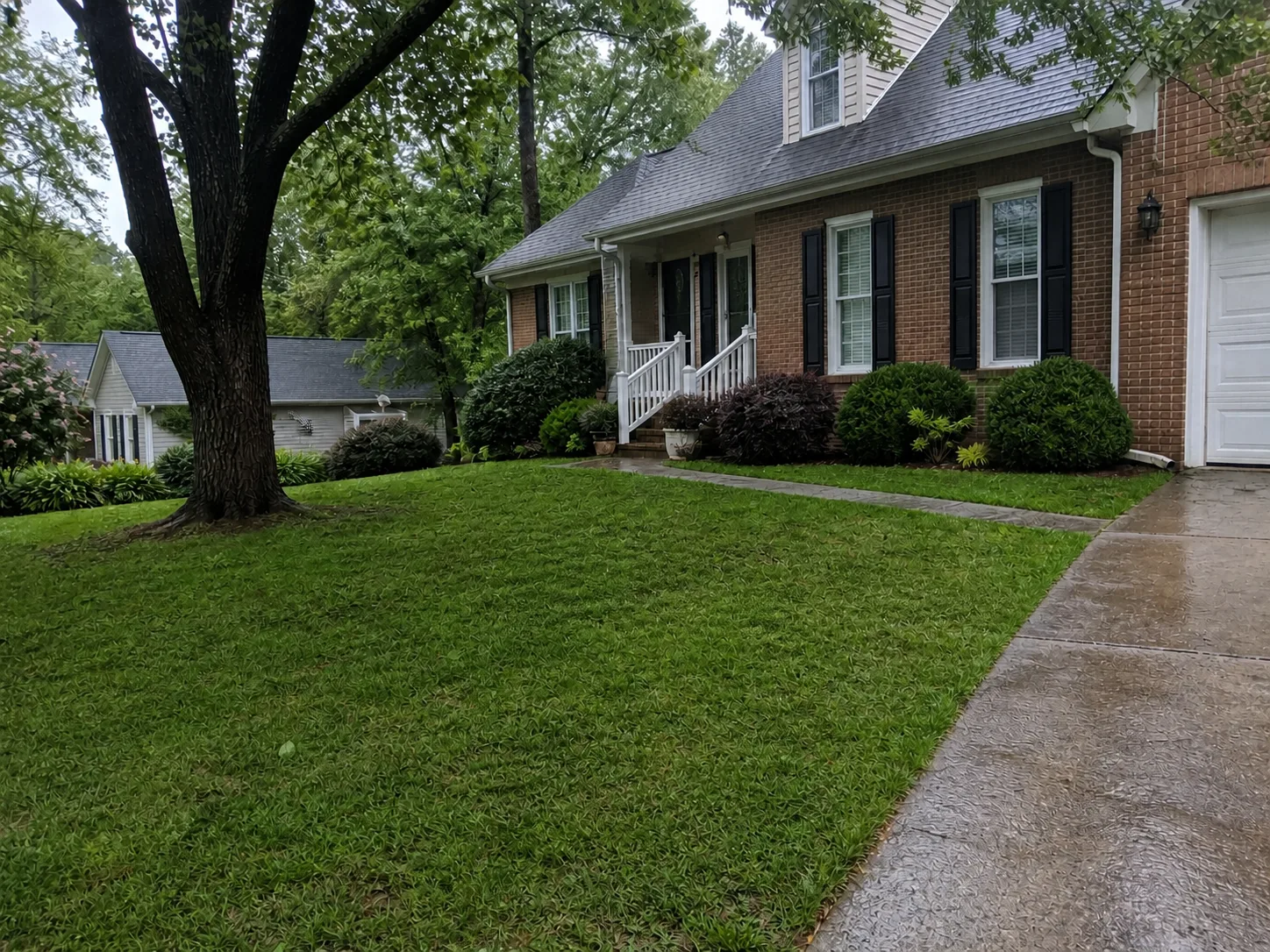 After — Storm Branch Cleanup